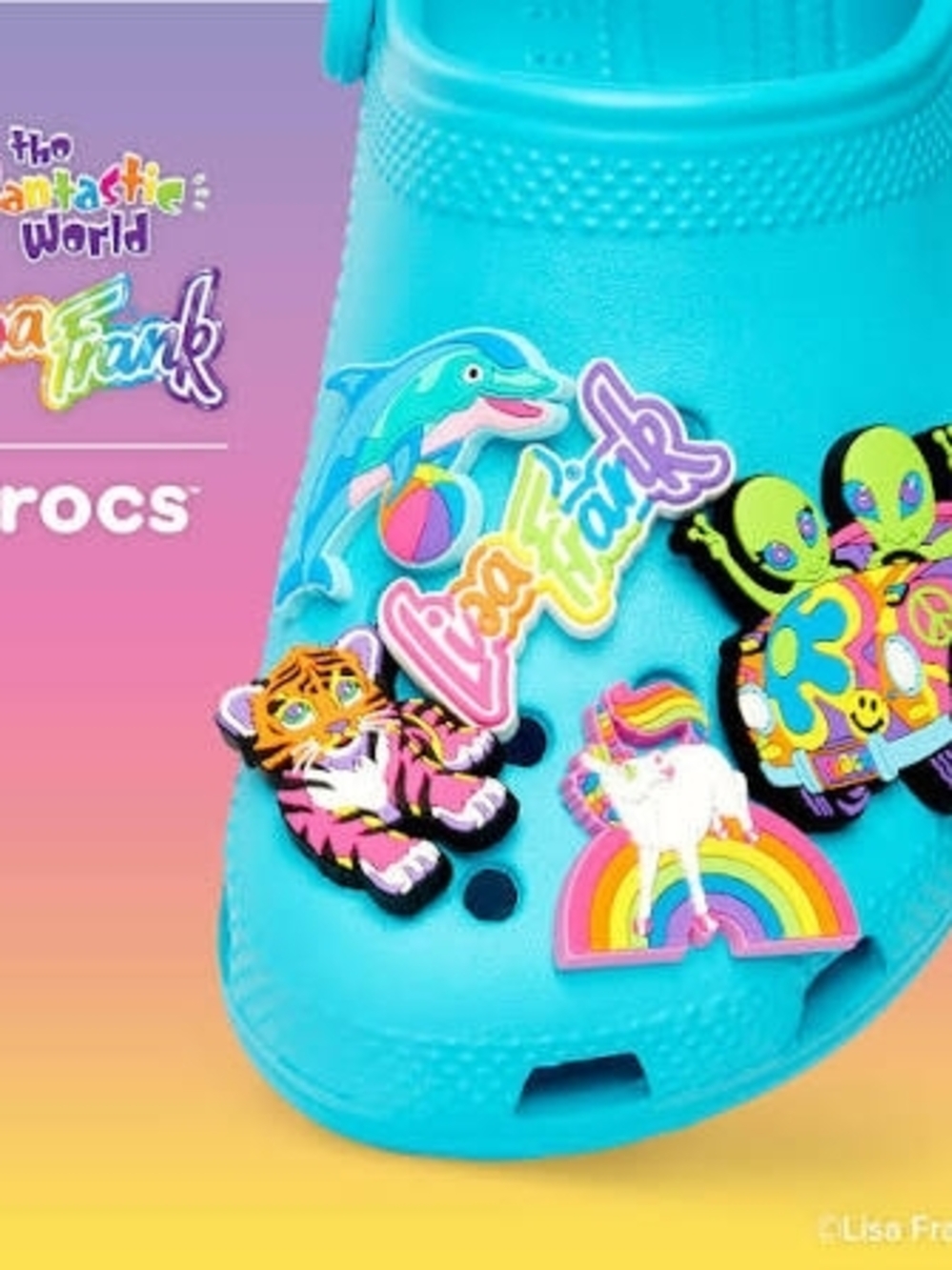 Crocs Lisa Frank Jibbitz